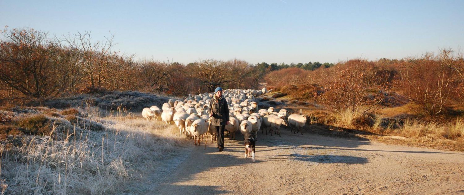 15369024_1387287971281489_6094700852338389107_o