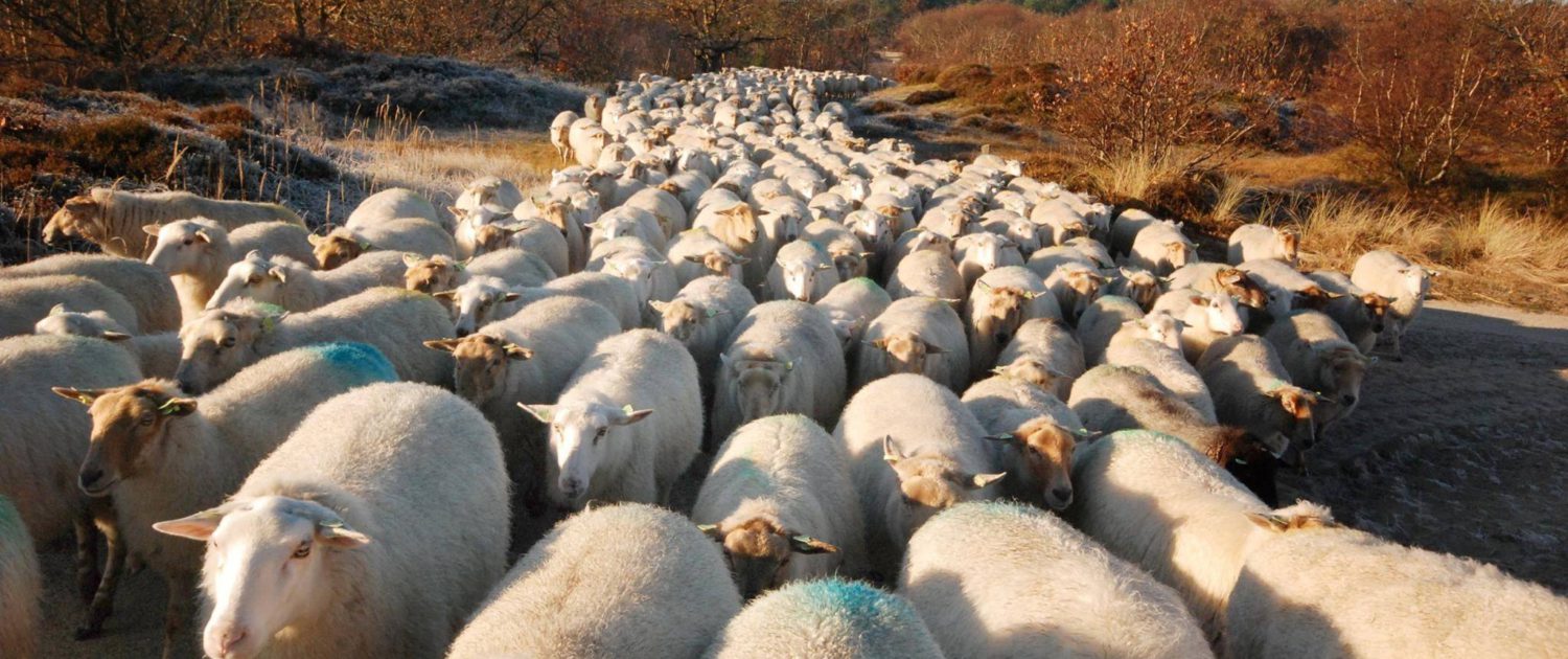 15384622_1387287664614853_6296354471394456059_o