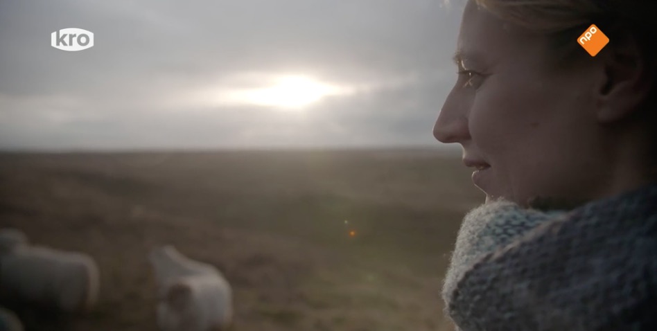 Screen Shot 2018-05-04 at 16.43.36